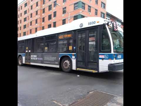 MTA MaBSTOA: 2011 Novabus LFSA [5830] M103 Bus