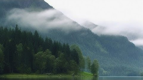 سورة القمر || خالد الجهيم تلاوة مريحة للقلب🍃.