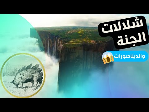 فيديو: هل يمكنك تسلق جبل روريما؟
