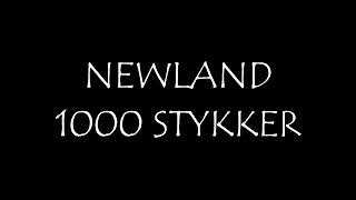 Newland - 1000 Stykker