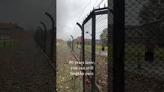 This is real and it only happened 80 years ago 💔 million people were murdered here! 📍: Auschwitz