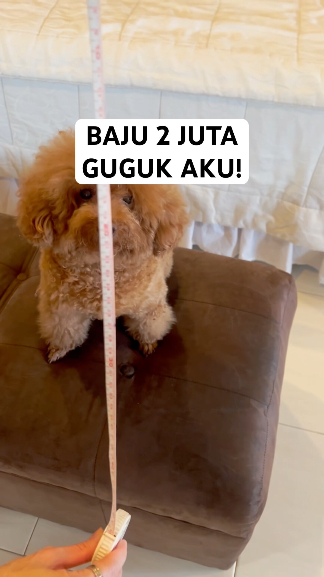 BAJU 2 JUTA GUGUK AKU!
