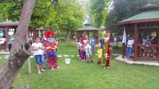 Piknik Organizasyonu