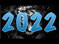 Каким будет 2022 год - год какого животного и что нас ждет