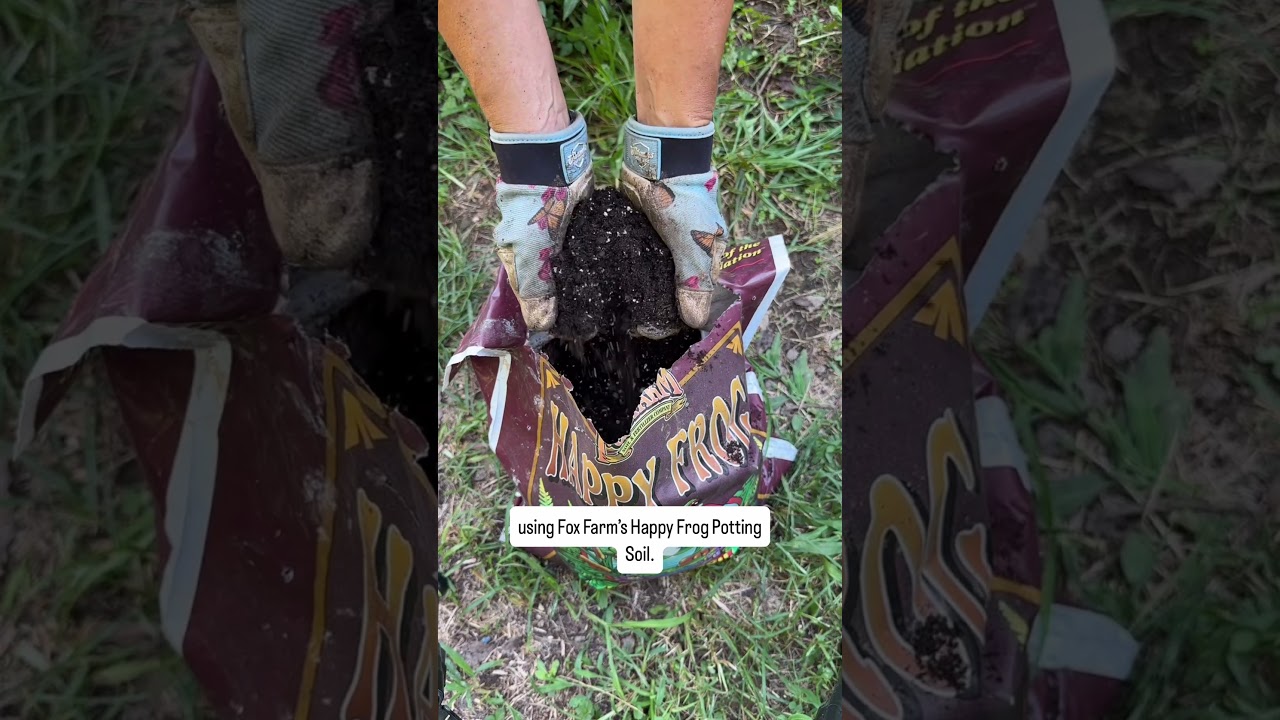 Only the best for my seeds! 