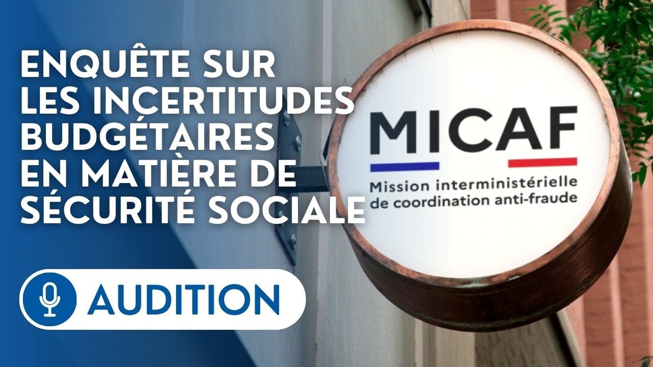 🔴 La mission interministérielle de coordination anti-fraude auditionnée par la commission d’enquête
