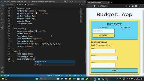 Budget App | HTML CSS JavaScript | ASMR | No Talking