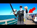 Using GIANT Bait for Pier MONSTERS!! Biggest of My LIFE!!