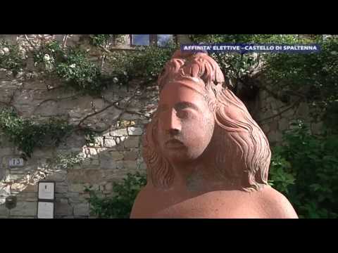 PRIMO PIANO AFFINITA' ELETTIVE 170523