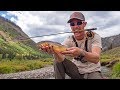 Fly Fishing Remote Mountain Stream for Mystery Trout