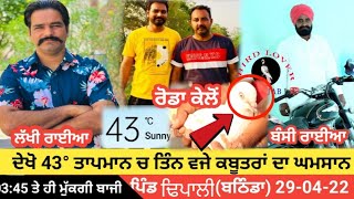 ਪਿੰਡ ਢਿਪਾਲੀ (ਬਠਿੰਡਾ) 29-04-2022 #birdloverpunjab #live #viralvideo #2022 #kabutarbaji #update