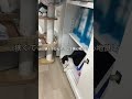 会社猫ふくの日常😸誰かが何かしてると気になって確認したくなるようですが、仕事が増えるんですよね😅#株式会社日章 #会社猫 #執務室
