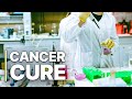 Cancer Cure &amp; Industrial Obstacles | Health Economy