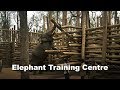 Elephant Training Centre