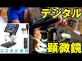 【神サブ23】LINKMICROデジタル顕微鏡を使って色々覗いてみた！自由研究に使えるかな？