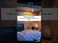 #dreamstudy #dream #studymotivation #studyvlog #motivationalvideo #shortsfeed #shorts #ytshort