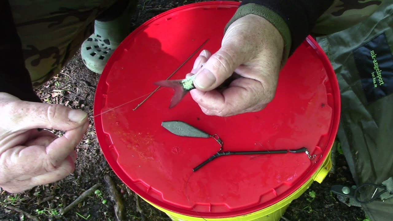 Aalangeln in Brandenburg Part 1 und dann gleich so eine Anaconda