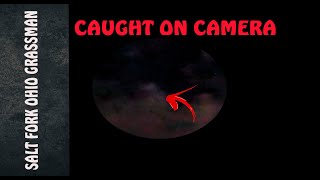 Salt Fork Ohio Grassman Caught On Camera - Part 3