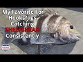 CATCH MORE SHEEPSHEAD - My Favorite Hooks For Catching Sheepshead Consistently