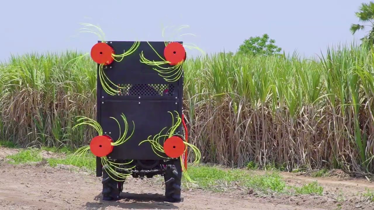 Demonstration of Sugarcane Leaf Remover (SLR110H) with Kubota tractors