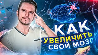 Как увеличить свой мозг, чтобы стать умнее? [СТИМУЛ]