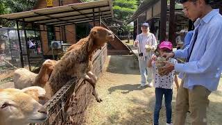 G2G Animal Garden MAEPS Serdang - Petting Zoo!