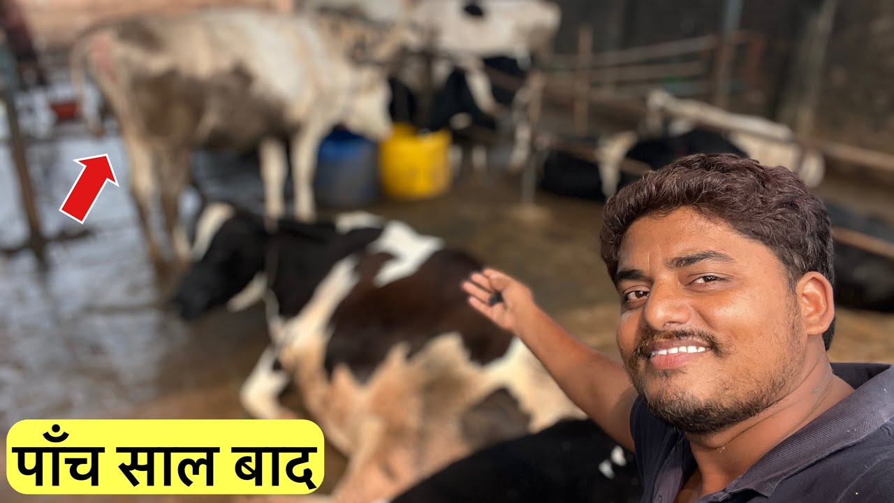 Пять лет спустя 