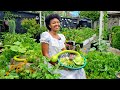 END OF APRIL GARDEN TOUR &amp; HARVEST.