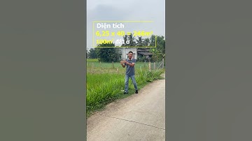 3 nền liền kề 6,25x40 = 246m2 Tại Vĩnh Hựu, Gò Công Tây, Tiền Giang #datnengocong #datnentiengiang