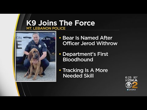 Video: UPDATE: Officer Hickey koopt zijn voormalige K9 op de veiling Wacht tot je de prijs hoort!