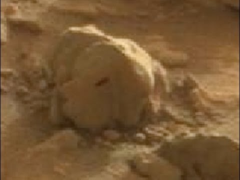 Mars Curiosity Exclusive! Real Martian Soldier. Hieroglyph. February Mars Curiosity Exclusive! Real Martian Soldier. Hieroglyph. February