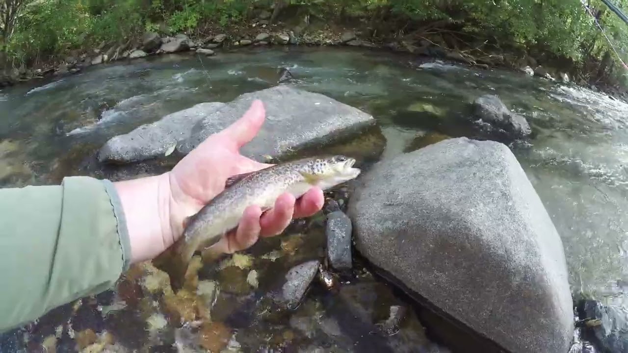 Chiusura in Avisio val di Fiemme - Parte 1 Full video