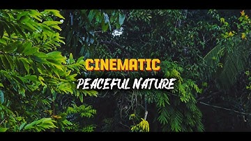 Peaceful nature 🌦️☘️🫧🦆