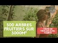 #105 Plus de 500 arbres fruitiers sur un terrain de 3000m² avec yourte