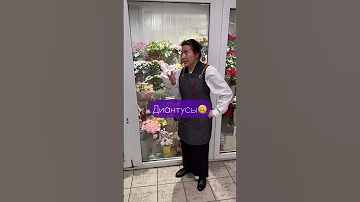 Диантус или гвоздика?😁
