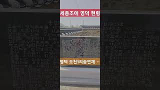영덕군 지품면 오천1리 #송연재 2025년 4월 25일