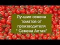 Сорта томатов от производителя “Семена Алтая“ . Выбираем лучшие!