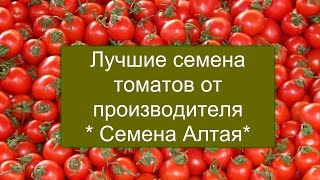 видео Томат Евпатор - описание сорта, выращивание и уход