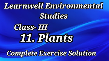 11. Plants || Class-3 || Learnwell EVS || Complete Exercise Solution || Question Answer ||