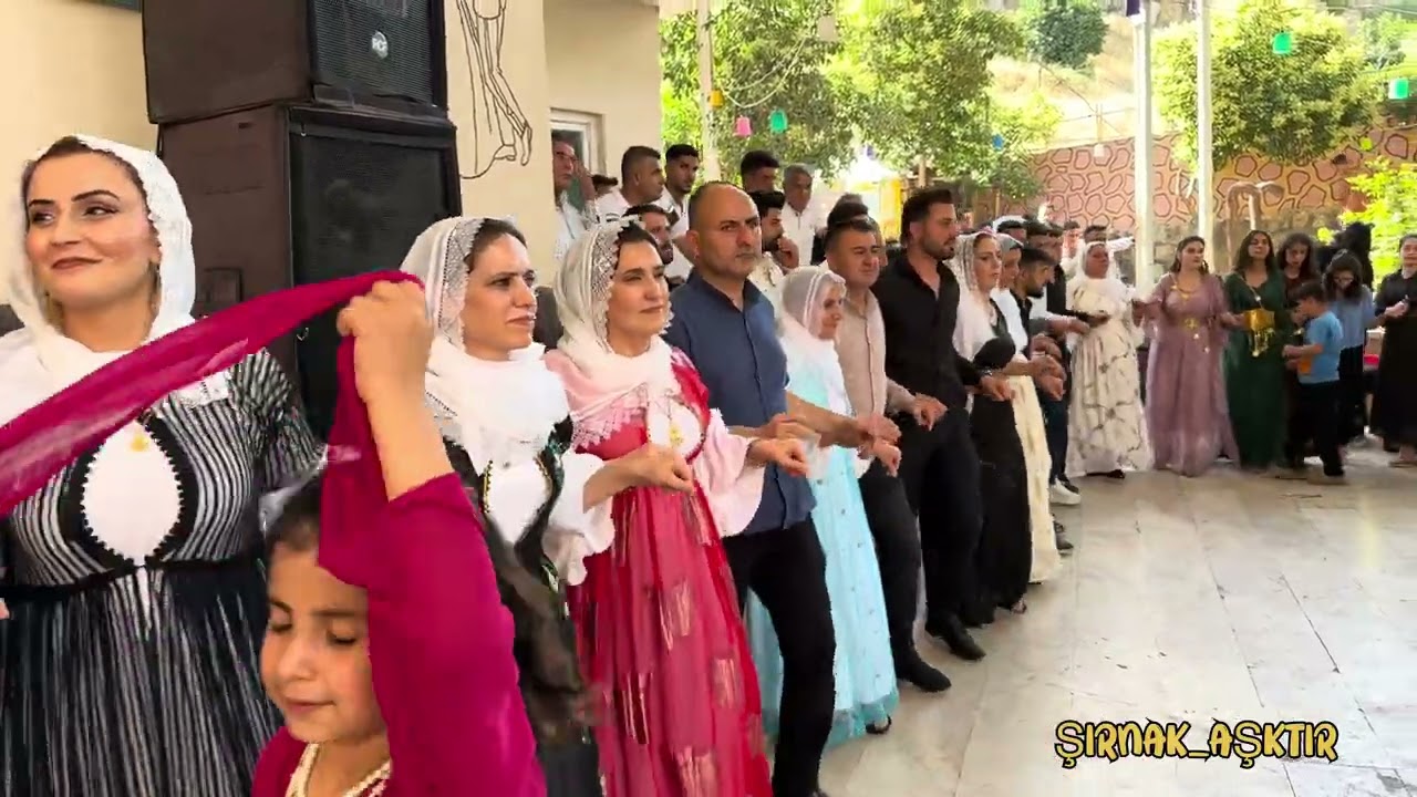 Umut Olcay Düğünü Part(2) Şırnakdüğünleri 2023 #halaybaşı #şirnakdüğünleri