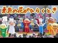 勇気の花がひらくとき アンパンマン 歌【11周年 ドリーミングスペシャルコンサート】 ソング ダンス