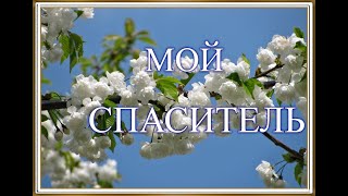 Video thumbnail of "Мой Спаситель Иисус 🌷🎶"