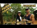 ШРИ-ЛАНКА ∣ СИГИРИЯ ∣  ПОДЪЕМ НА ЛЬВИНУЮ ГОРУ