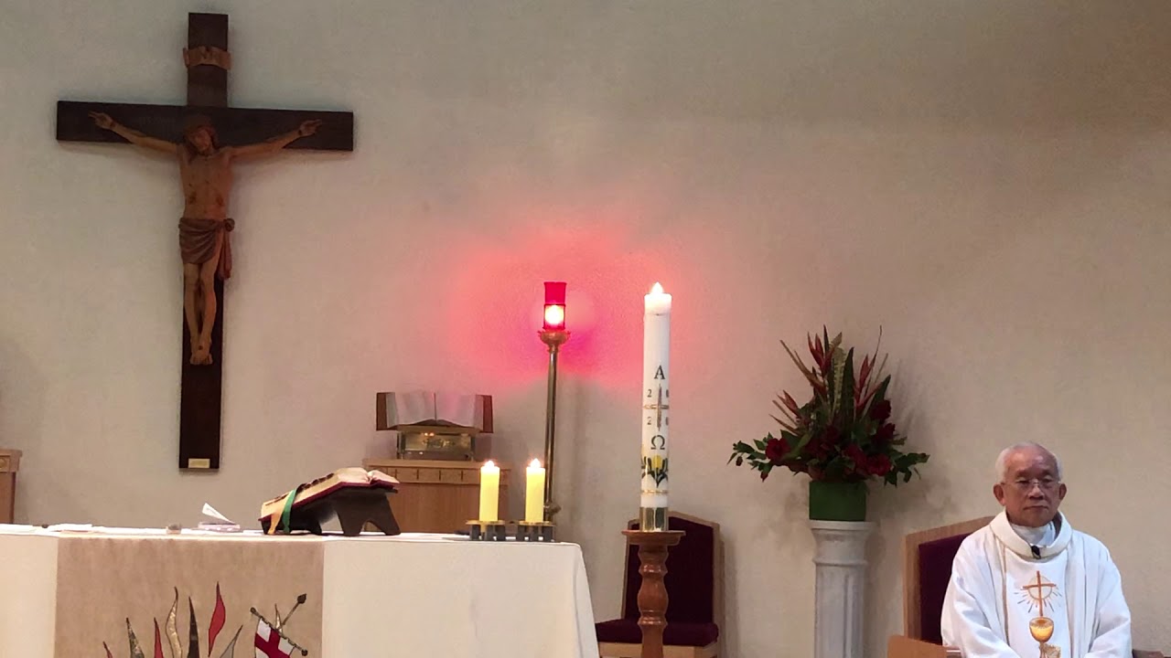 St Damian's Bundoora on 3rd May 2020 with Fr Vincent Le YouTube