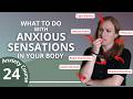 What to do with Anxiety in Your Body - Break the Anxiety Cycle 24/30