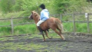 Cantering Sam bareback