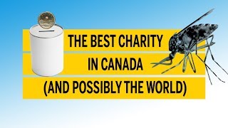 Here is the single most effective place to donate your money