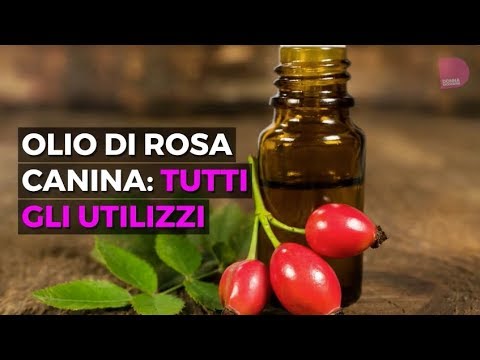 Video: Olio Di Rosa Canina Per Eczema: Trattamento, Sicurezza E Altro