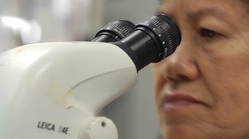 Ametek Engineered Medical Components  Video