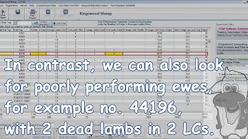 Reviewing Lambing Performance - A Select Sheepware Tutorial - TGM Software Solutions Ltd